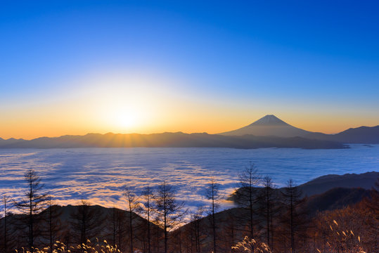 Fototapeta 雲海に浮かぶ富士山と日の出