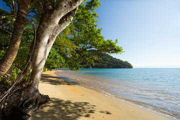 Beautiful dream paradise beach, Madagascar