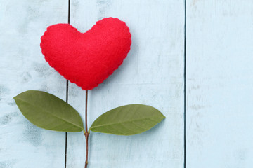 Red heart placed on blue wooden table in connect with branches o
