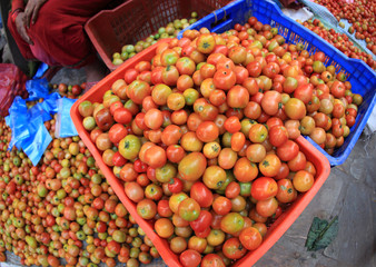 tomato selling at the vegetable market at nepal