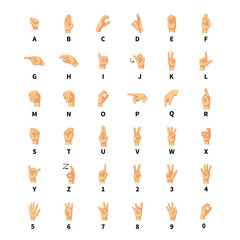 Sign language interpreter, latin alphabet signs on white