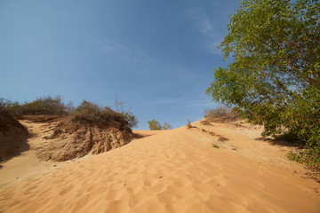 Fototapeta na wymiar orange sands in Vietnam
