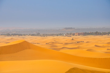 Fototapeta na wymiar dunes in Sahara Desert