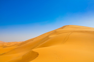 Fototapeta na wymiar dunes in Sahara Desert