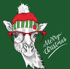 Christmas card with giraffe in winter hat. Merry Christmas lettering design. Vector illustration