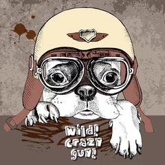 Foto op Aluminium Poster with portrait of a French bulldog in retro motorcycle helmet. Vector illustration. © Afishka