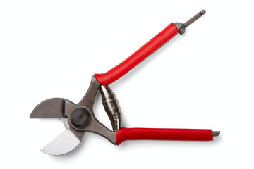 garden secateurs