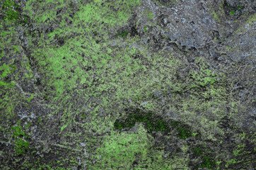 old spotty stained concrete wall texture background. color green, gray