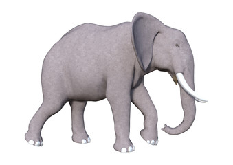 Fototapeta na wymiar 3D Rendering Elephant on White