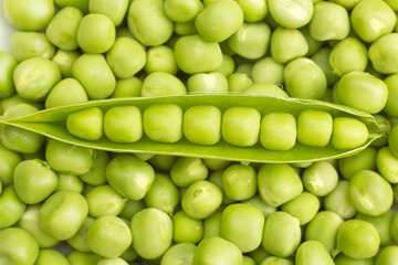ripe green pea pod on heap peas