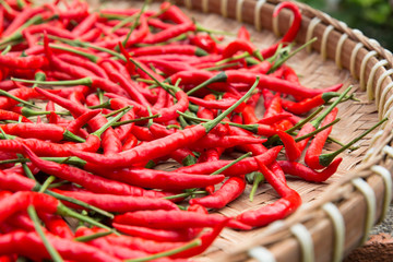 drying red chilli peppers