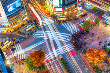 Aerial view of Shibuya District and Shibuya Crossing, Tokyo.