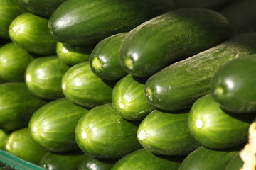 Frische grüne Minigurken auf einem Marktstand