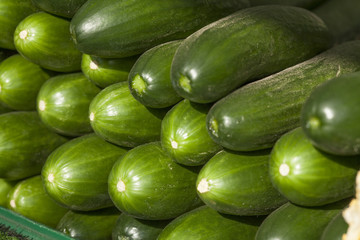Frische grüne Minigurken auf einem Marktstand
