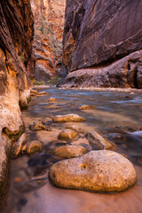 The Narrows Zion National Park
