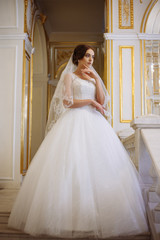 Fototapeta na wymiar beautiful young woman bride in luxury wedding dress in interior