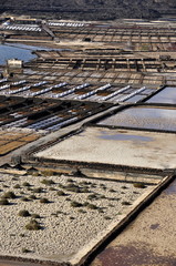 Las Salinas de Janubio, Lanzarote, îles Canaries , Espagne