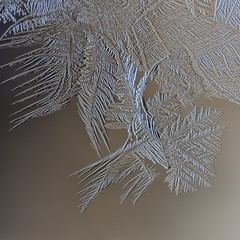 Winter patterns of ice on the window glass - macro