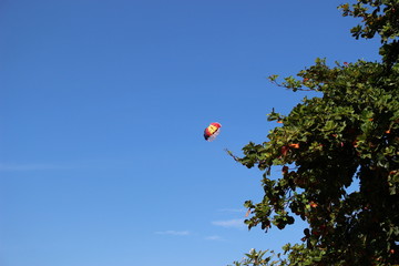 バリ、サヌールの青空