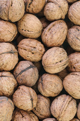 Pile of dried walnuts