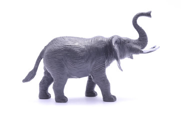 toy elephant isolated on white
