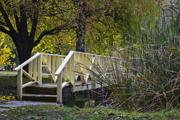 Bridge under the trees