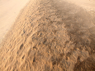 Beach Sand Background. Sand Texture. Brown sand. Background from fine sand. Sand background
