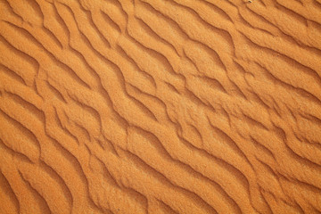 Fototapeta na wymiar Red sand desert