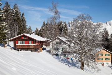 Skiing slope