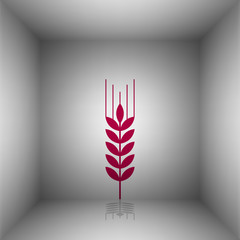 Wheat sign illustration. Bordo icon with shadow in the room.