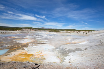 Norris geyser basin