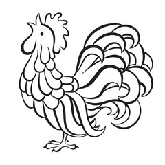 Rooster