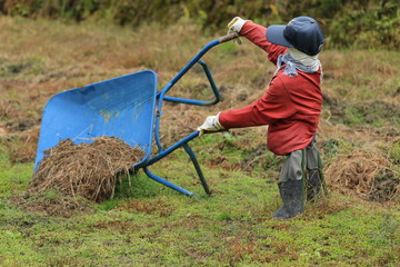 リアルな案山子 © narautsu