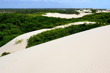 Dunas de areia na praia do Saco em Sergipe - obrazy, fototapety, plakaty