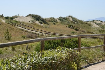 Fototapeta premium Dunes in Marbella, Spain
