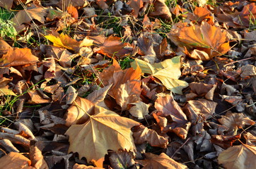 Herbst 2016