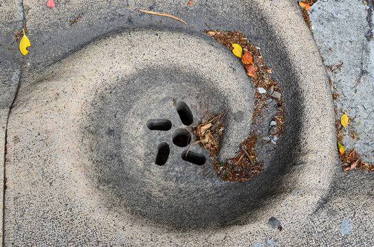 An outdoor drain hole with leaves falling on it.