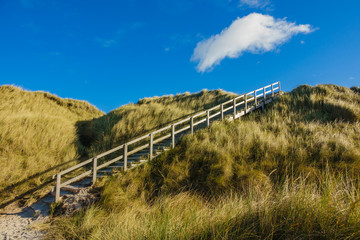 Fototapeta na wymiar Landschaft mit Dünen auf der Insel Amrum