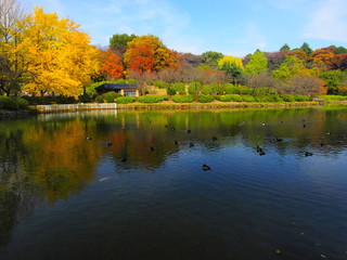 桜名所の秋景色/首都圏屈指の桜名所、三ッ池公園。歴史は古く江戸の飢饉を救ったため池の跡。春には桜、秋には紅葉が楽しめる。