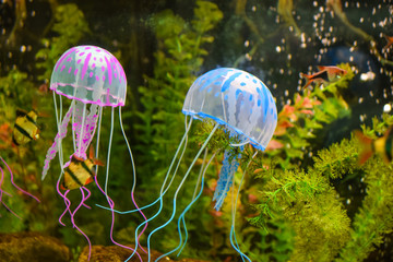 Beautiful toy jellyfish, medusa in the neon light with the fishes. Aquarium with blue jellyfish and...