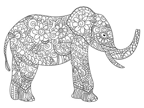 Elephant Coloring book vector for adults