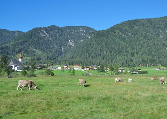 Fototapeta na wymiar der beliebte Urlaubsort Sankt Ulrich am Pillersee im Pillerseetal,Tirol,Österreich
