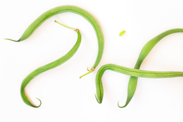 Asparagus  bean  like snake on white background.