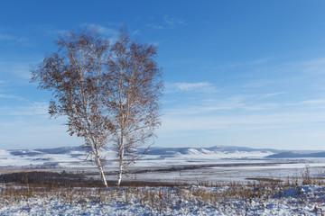 winter landscape in Siberia