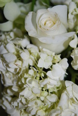Obraz na płótnie Canvas White bouquet 