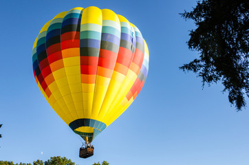 Fototapeta premium Beautiful Colourful Hot Air Balloon Floating in the Air against Blue Sky