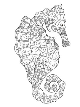 Sea Horse Coloring Vector For Adults