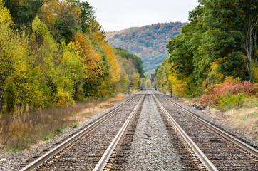 Fototapeta na wymiar Railroad Tracks Lined with Trees on a Fall Day