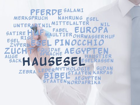 Hausesel