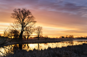 Sunrise with yellow burning clouds over a wild pond surrounded by trees in autumn morning